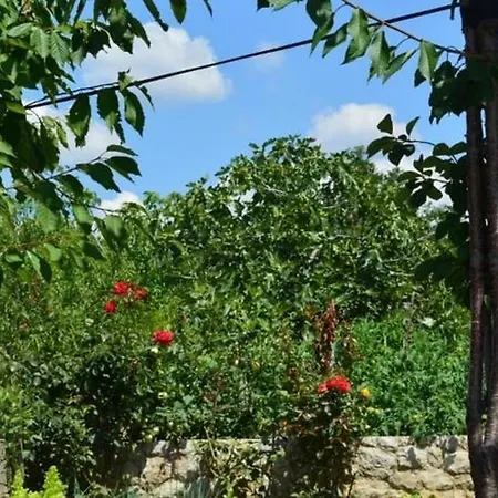 Vida Apartment Novi Vinodolski